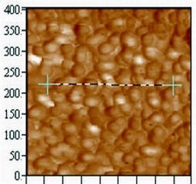 乳胶薄膜的AFM图