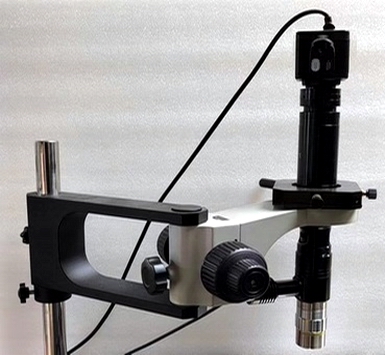 原子力显微镜辅助光学显微系统