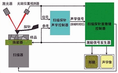 扫描探针声学显微镜原理图