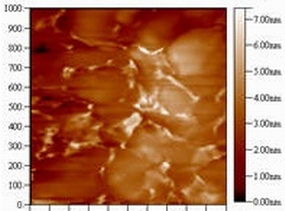 橡胶AFM图（加蒙脱土纳米颗粒）