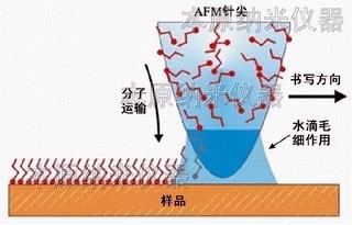 AFM纳米加工浸润笔